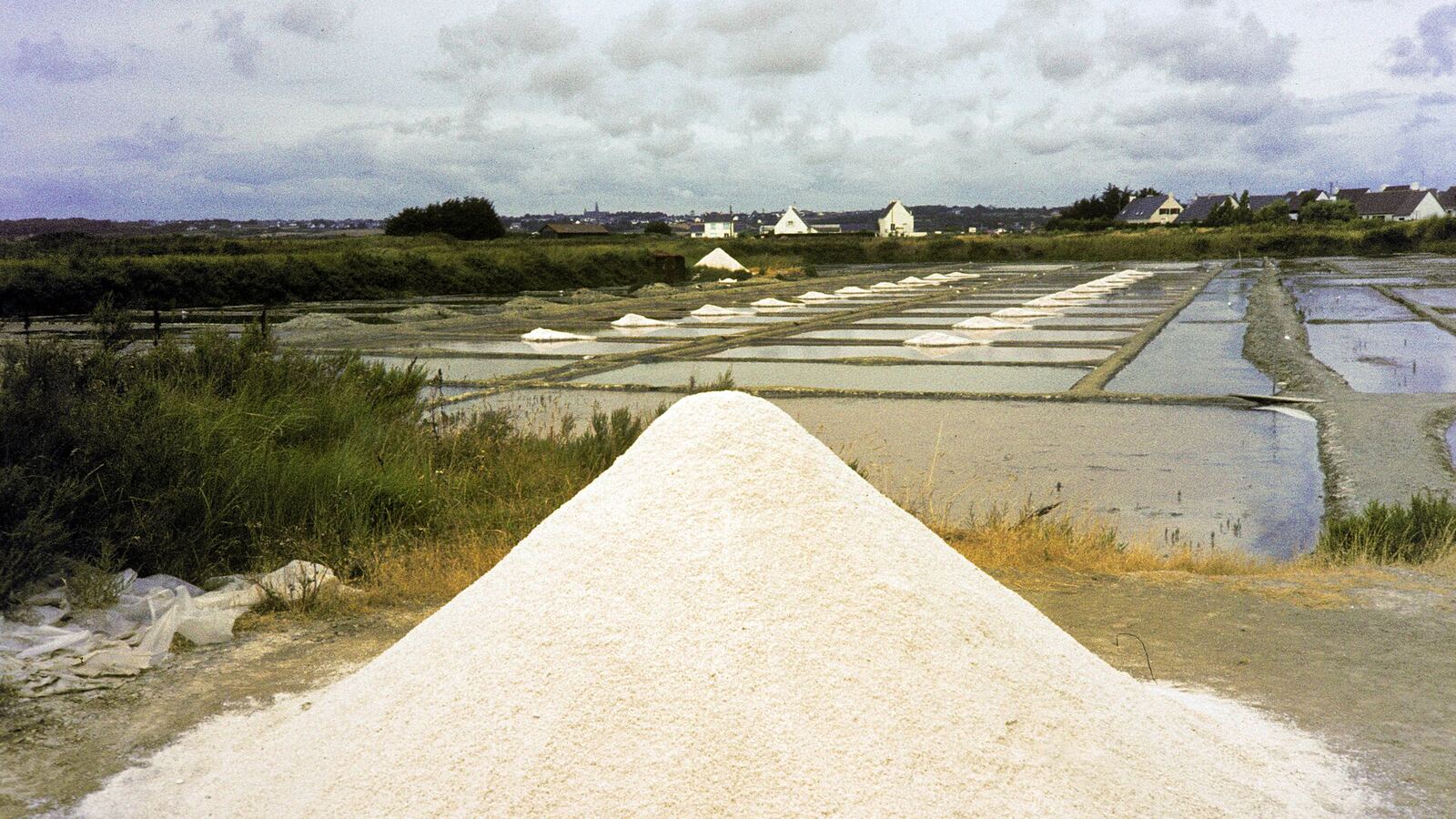 Guérande & its Salt Marshes
